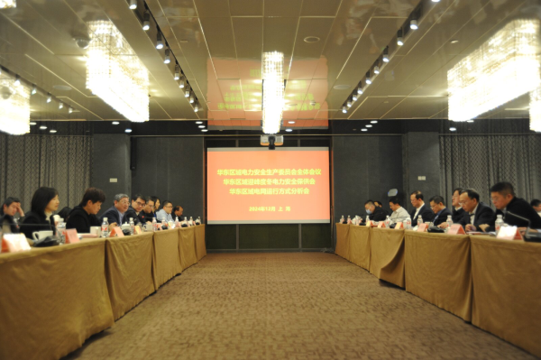 华东能源监管局组织召开2024年度华东区域电力安全生产委员会全体会议